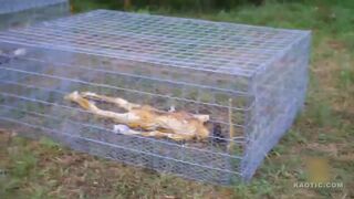 Body Farm