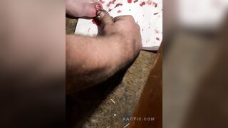 Self Toe Removal