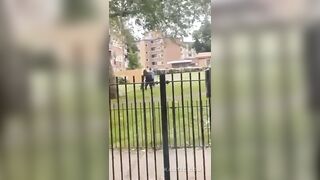 Dog attack in Stepney Green (London)