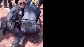 Protesting Woman Arrested for Throwing Brick at SF Officials