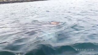 Close Encouter With A Shark