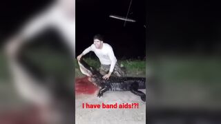 Fuck With the Gator, You'll Get the Teeth