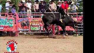 The Bull "El Diablo"  Takes Another Life