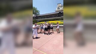 Group Fight At Disneyland