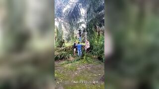 Hanging Out In Indonesian Forest
