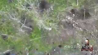 Another invader gets his face blown off by ukrainian drone