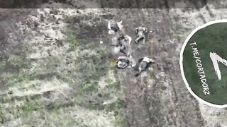 Ukrainian soldiers rest after a hard battle