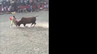 Trinidad & Tobago Bulls Raging On