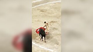Mexican bullfighter suffers a strong goring
