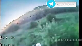 Ukrainian soldier wanted to hide in the grass, but Russian drone destroyed him