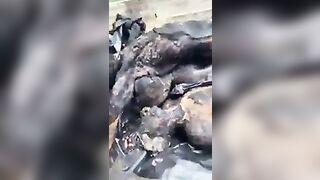 Three Robbers Burnt By Mob In Uganda