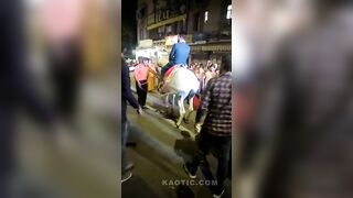 Man Killed By The Horse