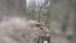 Positions full of corpses after being taken by Ukrainians