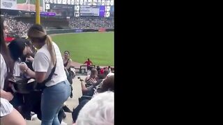 Massive Fan Fight Breaks Out at White Sox Game