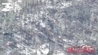 Russian Soldiers Capture Ukrainian Positions