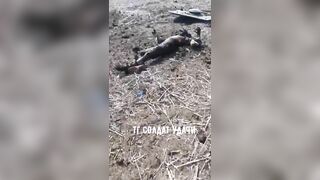 Burnt corpses of Ukrainian soldiers, near the destroyed American armored personnel carrier