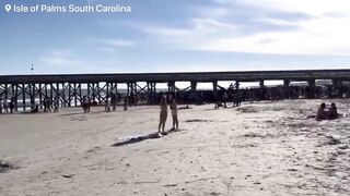 Multiple people have been shot on the beach as crowds of beach goers run for their lives