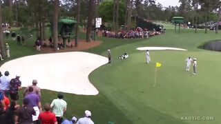 A large tree almost crushed a crowd of people during the master golf tournament