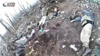 Scattered bodies of the Ukrainian military, in the captured positions