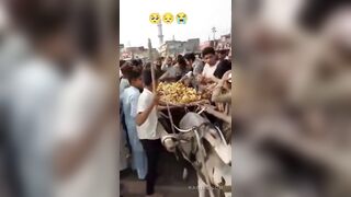 Street vendor looted by mob