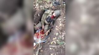Destroyed Ukrainian militants, in captured positions