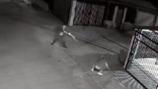 Armed robber was shot after his magazine slips from gun while attempting to rob a detective - Maipú, Chile