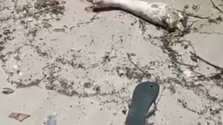 Foot was found washed up on beach - Brazil