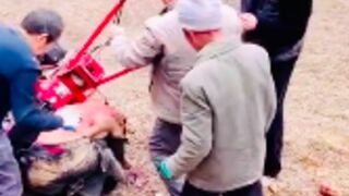 Farmer accidentally mutilates himself with an industrial tiller - China