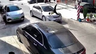 Child is struck by a vehicle while crossing the road - China