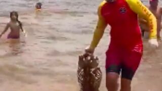 Recovered human remains that was found washed up on a Beach in Brazil