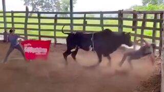 Ammeter Bull rider is smashed against fence and gored in the face by Bull