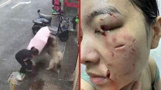 Woman is bitten in the face while stroking Chow Chow dog in China [+ Aftermath]