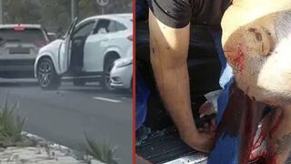 Driver was intercepted and killed by gunmen armed with machine guns in Israel [+ Aftermath]