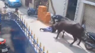 9-year-old girl was brutally attacked by stray cow in India