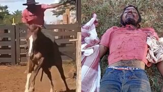 Man is crushed to death by his own horse whilst trying to make him jump a gate in Brazil