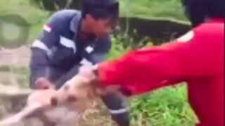 Men feed dog to crocodiles for stealing their food in Indonesia