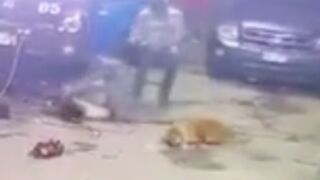 Mechanic and his dog was shot and killed by hitman in Honduras