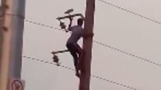 Man is electrocuted and killed after trying to catch a bird from a transformer mast