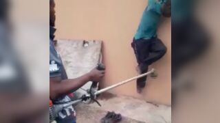 Burglar is tied up and punished with a garden strimmer in South Africa