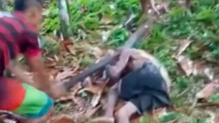 Alleged rapist is taken to the jungle and beaten to death with sticks, Brazil