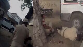 Isis member films himself executing police officers