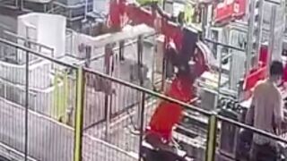 Factory worker killed by robotic arm in China