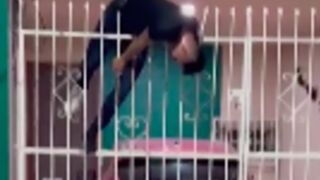 Thief in agony after getting his torso penetrated by an iron fence in Mexico