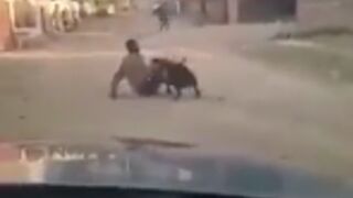 Man gets attacked by a pitbull in south africa for 2 minutes