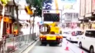 Worker killed while carrying out a tree removal after crane collapses in China