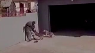 Thief gets fucked up by two pitbulls in South Africa