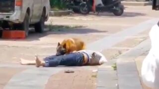 Crowd watches as elderly man gets attacked by a dog in China