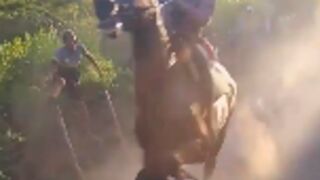 Woman gets hit with a horses flying knee at and illegal horse race in Argentina