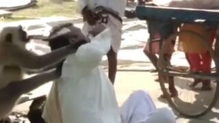 Man gets his head scalped to the bone by a monkey in India