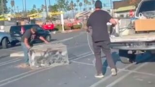 Men use a cage to catch a bunch of Pigeons in LA